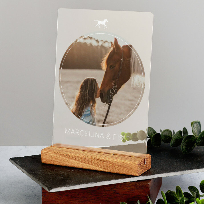 Koński przyjaciel - Wydruk na szkle akrylowym z podstawką