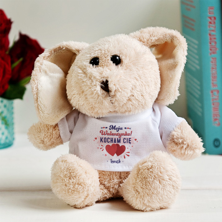 Moja walentynka - Pluszak