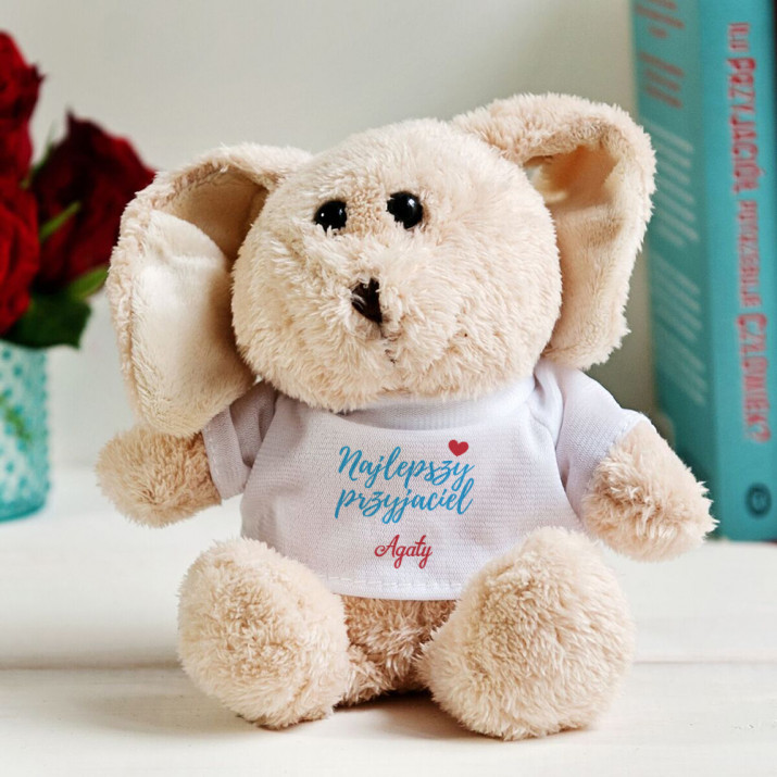 Najlepszy przyjaciel - Pluszak