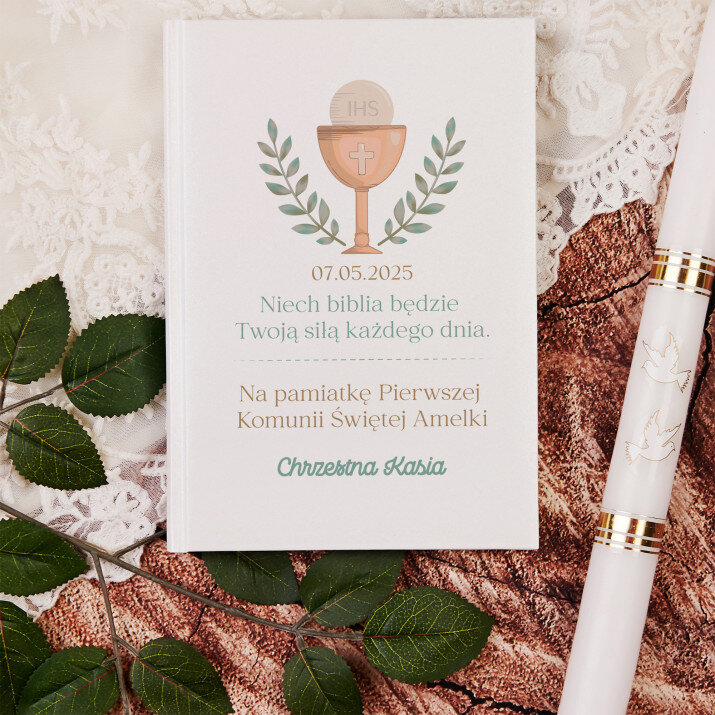 Niech biblia będzie twoją siłą - Ilustrowana Biblia dla dzieci