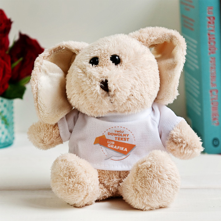 Projekt własny - Pluszak Projekt własny - Pluszak