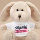 Pluszak Maskotka Na Obronę Magistra Prezent Dla Kobiety: Triumf I Humor