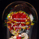 Kocham cię 2 - Wieczna róża z misiem Kocham cię 2 - Wieczna róża z misiem