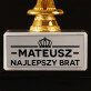 Najlepszy brat - Statuetka