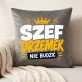 Poduszka Dekoracyjna Dla Chłopaka Prezent Na Dzień Chłopaka Dla Mężczyzny: Szef Drzemek Poduszka Dekoracyjna Dla Chłopaka Prezent Na Dzień Chłopaka Dla Mężczyzny: Szef Drzemek